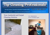 The Cleaning Professionals